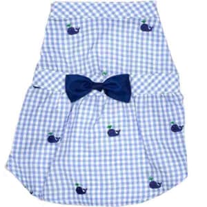 Blue Whales Seersucker Dog Dress