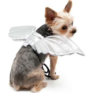 Angel Wings Halloween Dog Costume
