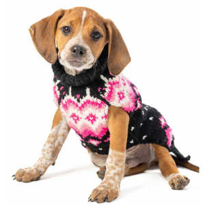 Arctic Pink Dog Sweater