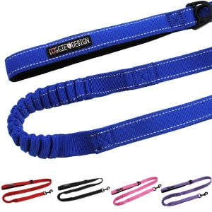 Soft Pull Traffic Dog Leash, Lead