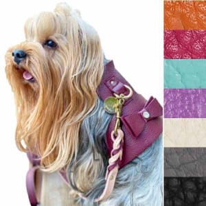 Fancy harnesses for small dogs 2025