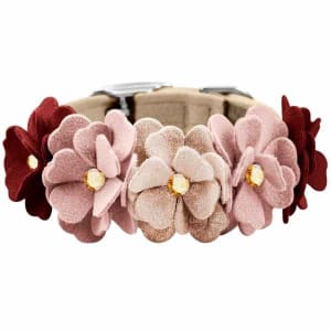 Rosewood Spice Designer Dog Collar
