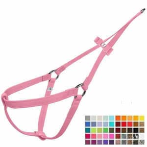 Big Bow Step N Go Dog Harness - Ultrasuede