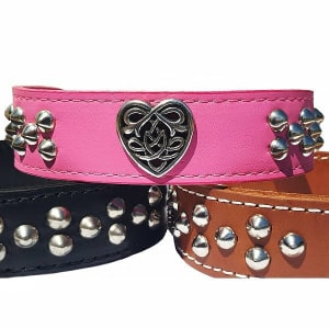 Celtic Heart Studded Leather Dog Collar