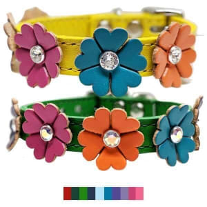 Fancy Flowers Leather Designer Dog Collars | Custom