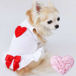 Designer Dog Dress | My Little Valentine