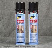 P30272 24oz Window/Door Foam