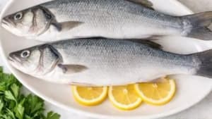 Bronzino Whole Fish