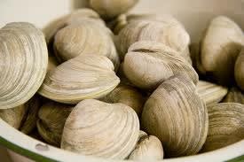Clams Little Neck, One Dozen