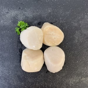 Scallops Frozen New England