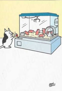 Recycled Paper Greetings Humor Funny Comic Birthday Card