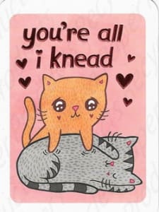 Recycled Paper Greetings Humor Romance Love Friendship Greeting Card, Funny Love Romance Card