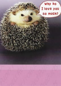 Recycled Paper Greetings Humor Romance Love Friendship Greeting Card, Funny Love Romance Card