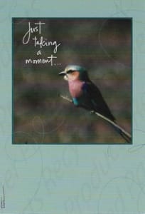 Recycled Paper Greetings Humor Thinking of You Greeting Card, Funny Thinking of You Card