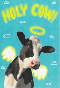 Recycled Paper Greetings Humorous Congratulations Card, Funny Congratulations Card