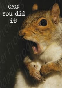 Recycled Paper Greetings Humorous Congratulations Greeting Card, Funny Congratulations Card