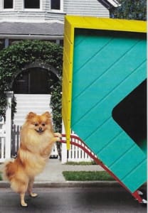 Recycled Paper Greetings Humorous New Home Congratulations Greeting Card, Funny New Home Card