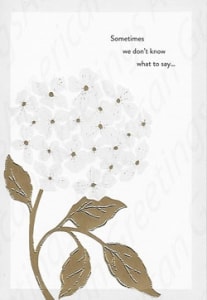 American Greetings Sympathy Greeting Card