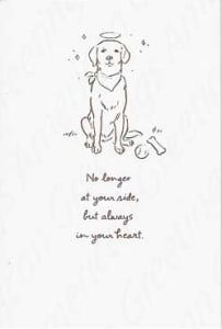 American Greetings Sympathy Greeting Card