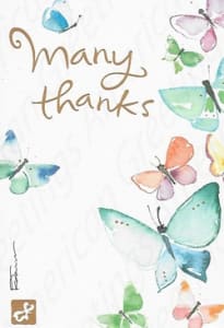 American Greetings Thank You Greeting Card