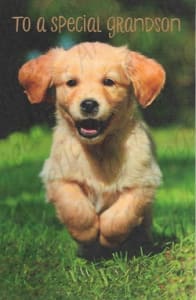 Pkt #199-319-Grandson Birthday