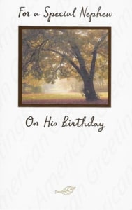 Pkt #199-355-Nephew Birthday