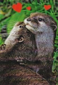 Pkt #199-728-Love/Romance