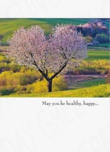 General Birthday Greeting Card