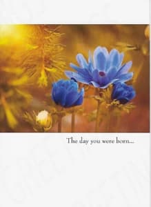 General Birthday Greeting Card