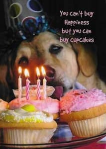 Humor Birthday Greeting Card, Funny Birthday Greeting Card