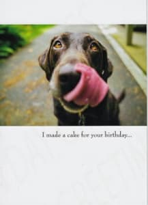 Humor Birthday Greeting Card, Funny Birthday Greeting Card