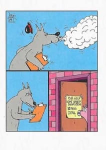 Humor Birthday Greeting Card, Funny Birthday Greeting Card