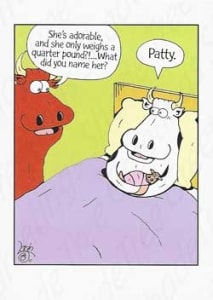 Humor Birthday Greeting Card, Funny Birthday Greeting Card