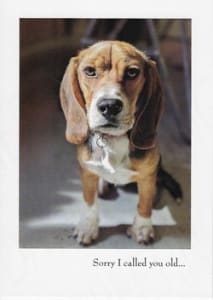 Humor Birthday Greeting Card, Funny Birthday Greeting Card