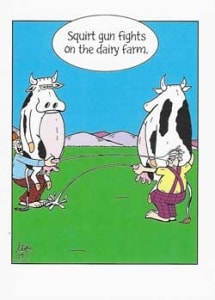 Humor Birthday Greeting Card, Funny Birthday Greeting Card