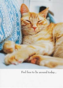 Humor Birthday Greeting Card, Funny Birthday Greeting Card