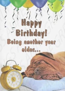 Humor Birthday Greeting Card, Funny Birthday Greeting Card