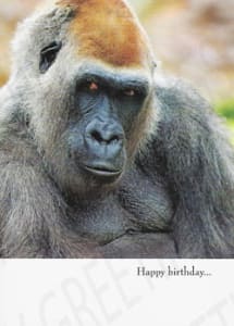 Humor Birthday Greeting Card, Funny Birthday Greeting Card