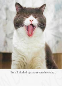 Humor Birthday Greeting Card, Funny Birthday Greeting Card