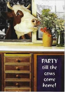 Humor Birthday Greeting Card, Funny Birthday Greeting Card