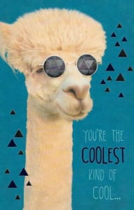American Greetings Birthday Card