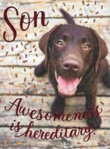 American Greetings Birthday Card