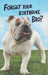 American Greetings Birthday Card