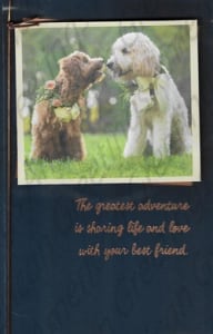 American Greetings Wedding