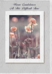 Pre-priced Sympathy Cards, Value Priced Sympathy Cards