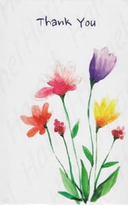 Pre-priced Thank You Cards, Value Priced Thank You Cards