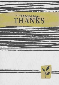 Pre-priced Thank You Cards, Value Priced Thank You Cards