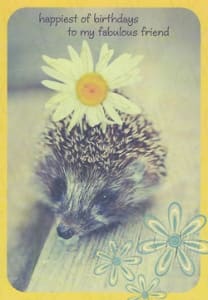 Pre-priced Friend Birthday Cards, Value Priced Friend Birthday Cards