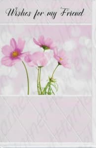 Pre-priced Friend Birthday Cards, Value Priced Friend Birthday Cards