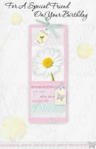 Pre-priced Friend Birthday Cards, Value Priced Friend Birthday Cards